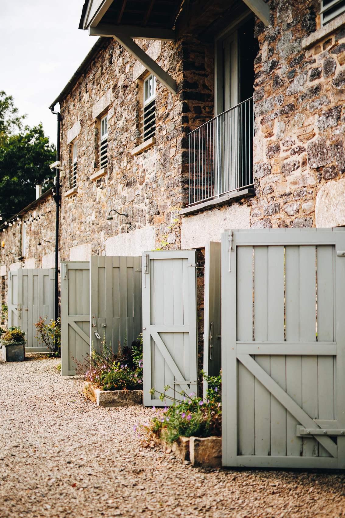 Many duck egg blue barn doors open with plants between them