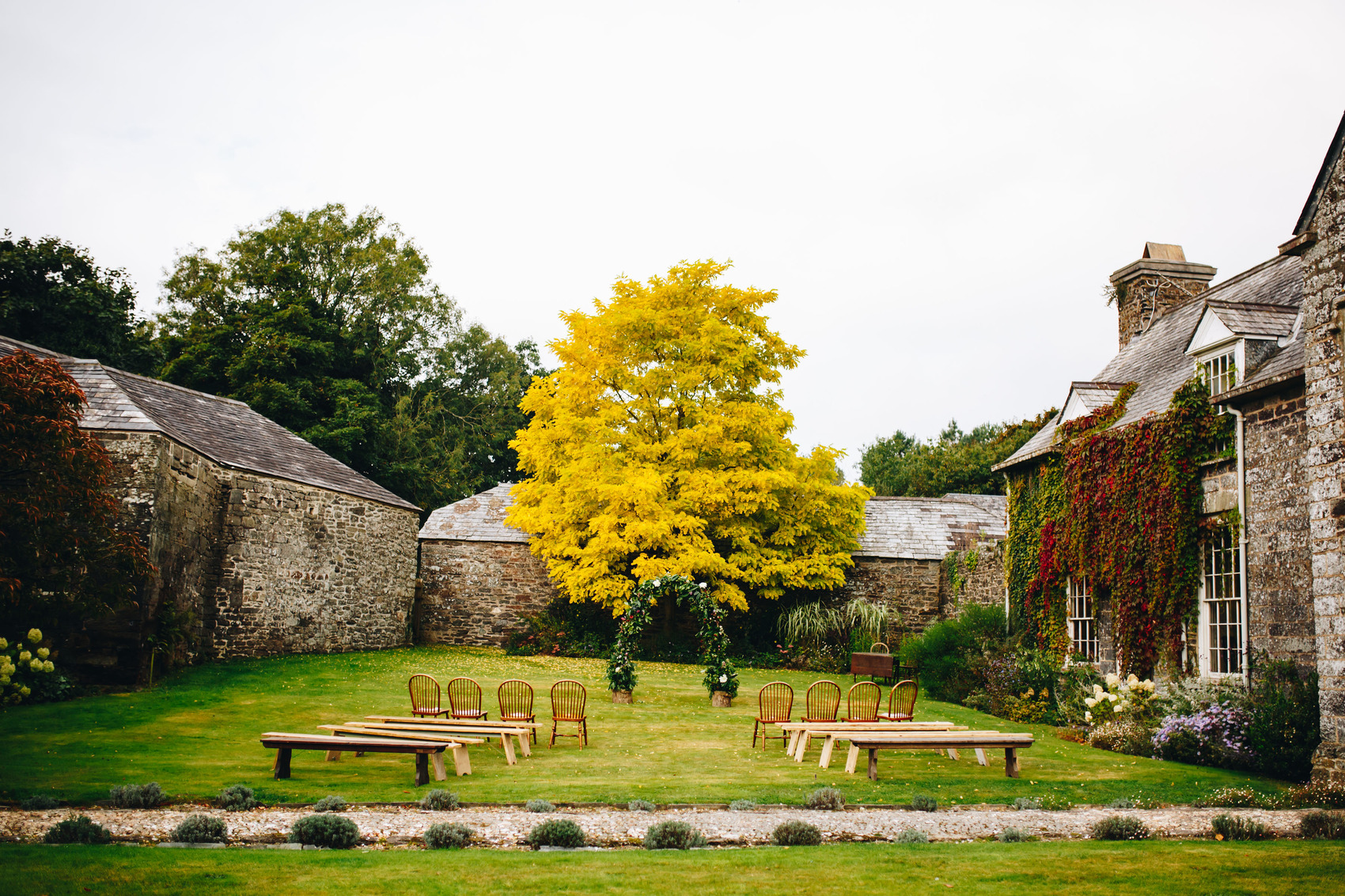Walled garden ceremony set up with big yellow tree at top of aisle