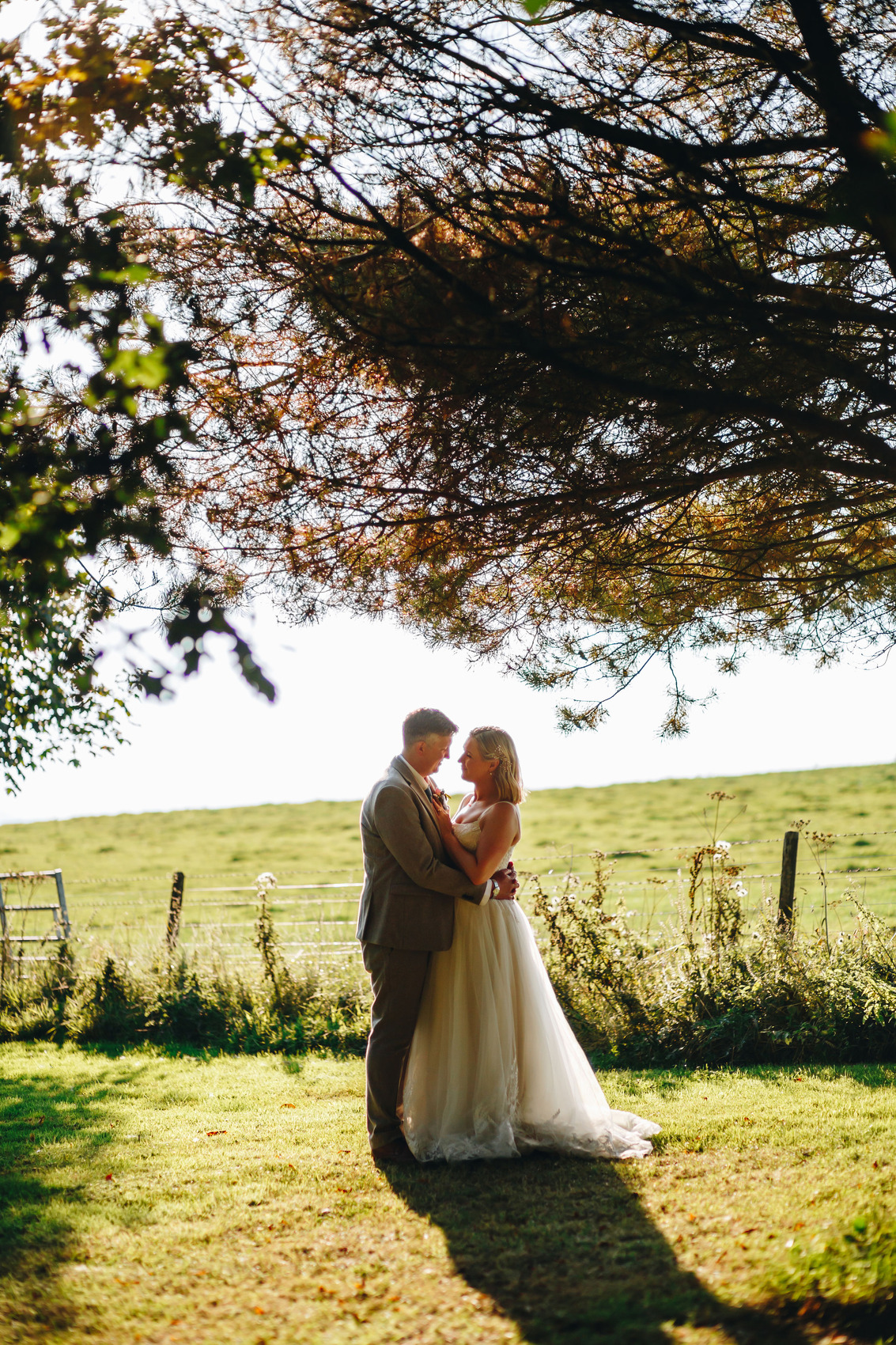 Couple backlit in a field under trees