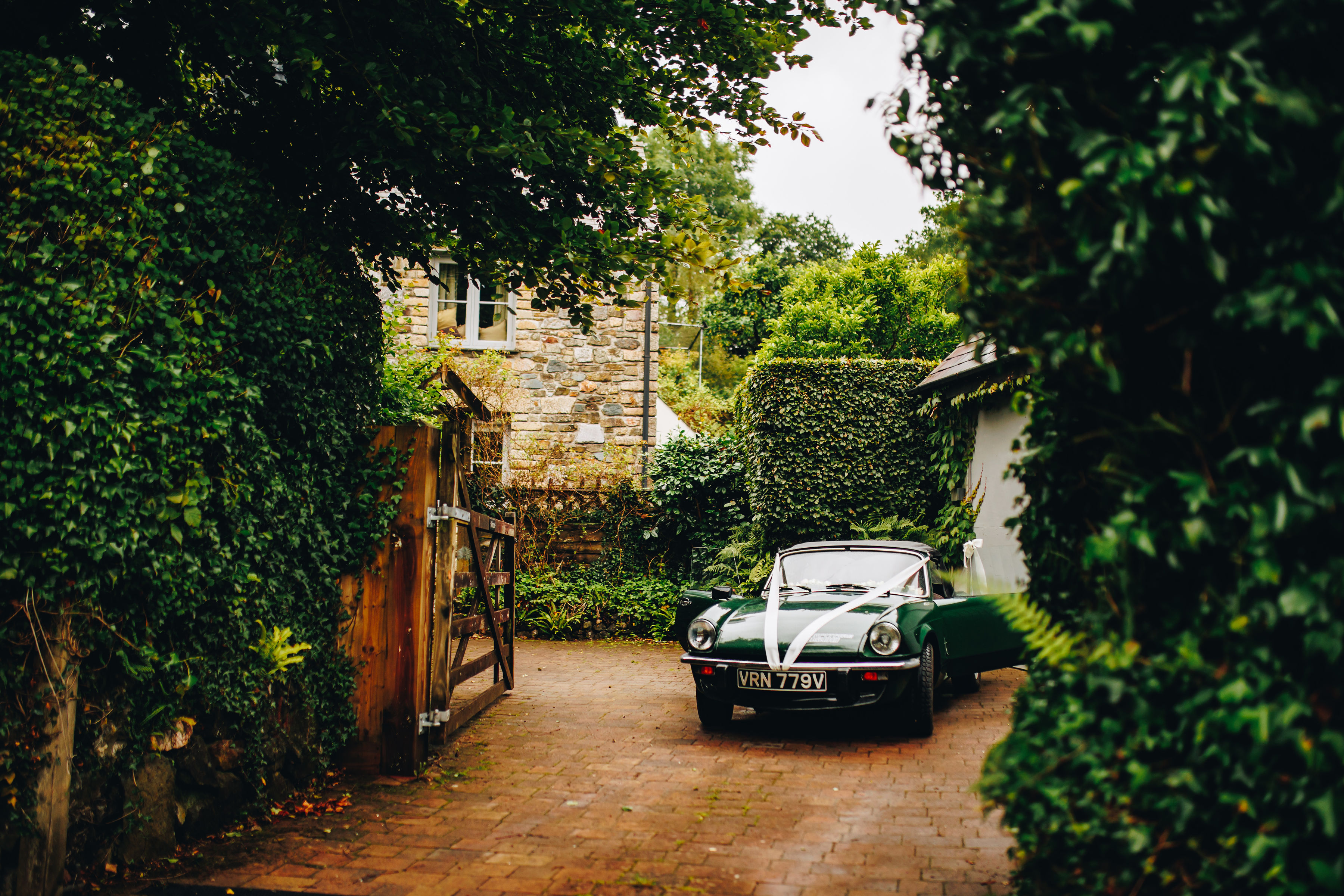 Old soft-top dark green car in a driveway surrounded by green hedges with ribbon on its bonnet