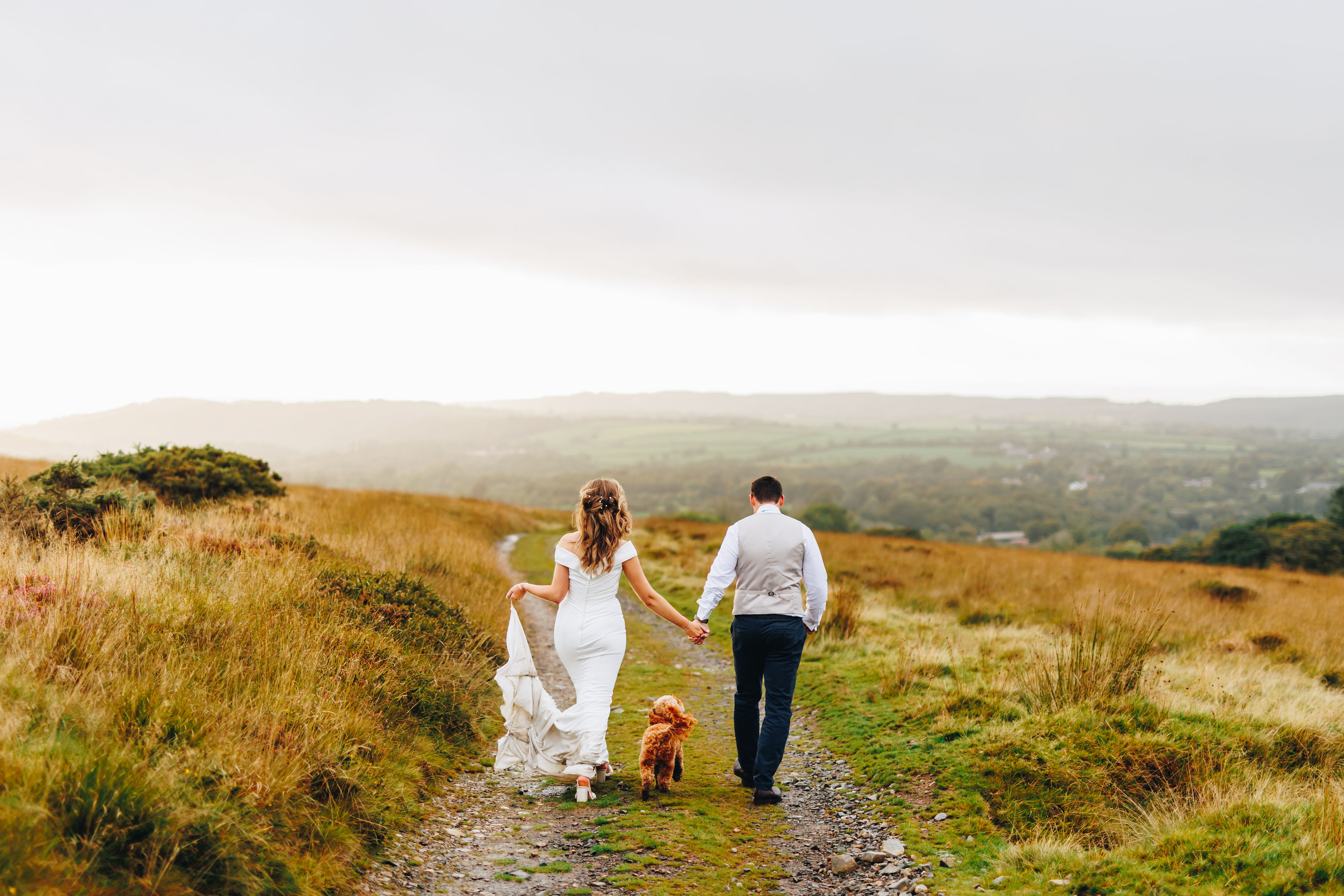 A bride, groom, and small dog walking away along a country path on the moorland